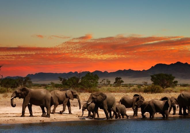 ÁFRICA/AMÉRICA | Saltar para cima da vassoura: O casal deve saltar para cima de uma vassoura no final da cerimónia. Aquele que conseguir saltar mais alto é aquele que terá mais voz ativa entre o casal.