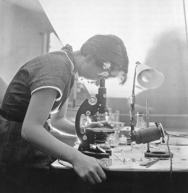 Rosalind Franklin: Estrutura da molécula do ADN | As radiografias feitas pela química britânica Rosalind Franklin ao ADN revelaram a verdadeira estrutura por detrás da molécula. No entanto, a teoria foi reclamada por James Watson e Francis Crick. Ambos acabaram por ganhar um Prémio Nobel. 