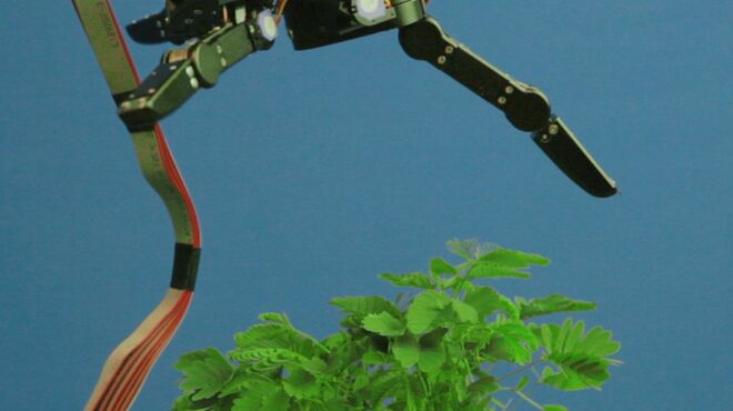 A exposição de Pedro Neves Marques, Aprender a Viver com o Inimigo, está prestes a encerrar. Na véspera do encerramento da exposição, dia 16 de setembro, às 16h, o artista terá uma visita orientada pela obra.