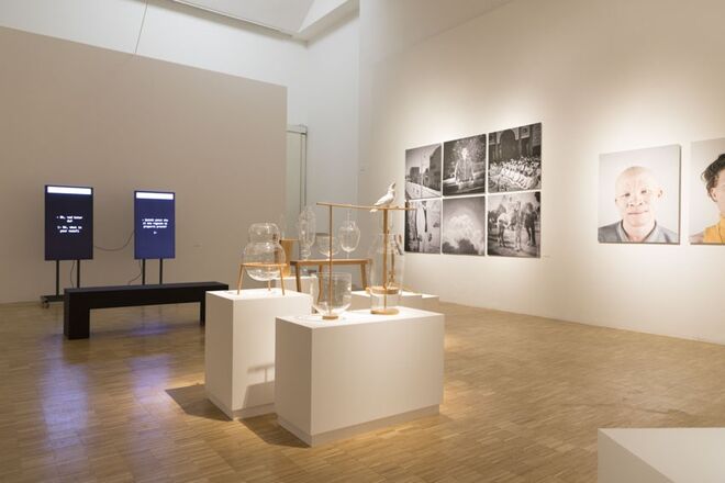 Exposição I See Colors Everywhere, patente até 28 de setembro na Trienal de Design de Milão