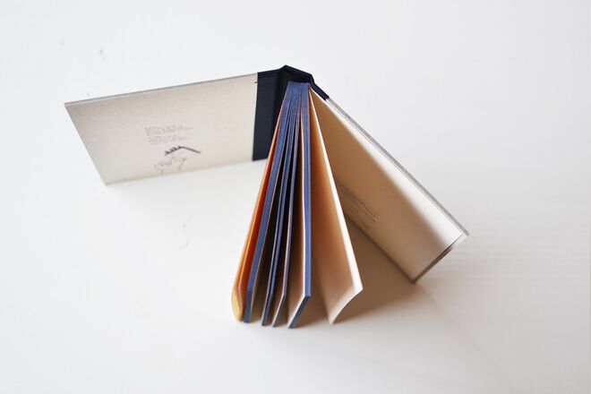 Estacionário / Beija-flor