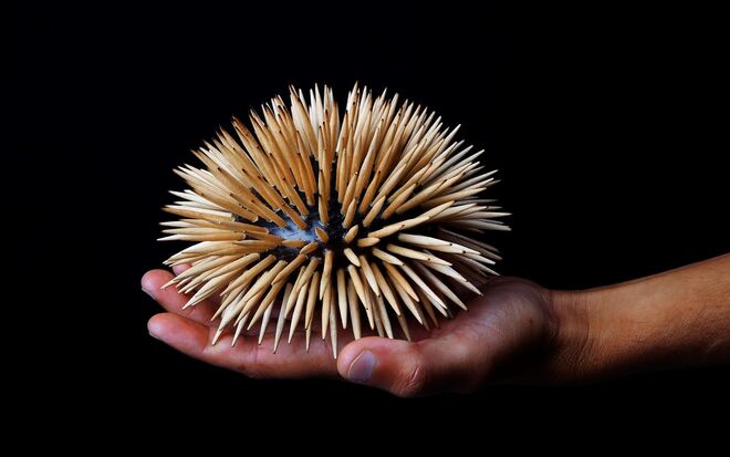 Escultura / uNi Ouriço