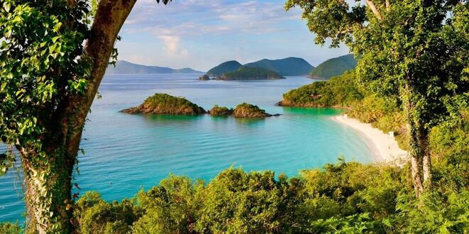 Baía de Trunk, St. John, Ilhas Virgens | É a praia mais visitada daquela zona do Caribe. Também por isso está frequentemente cheia de gente, mas vale o sacrifício.