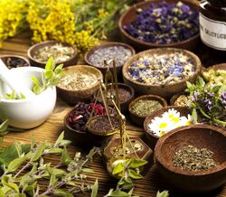 Algumas plantas medicinais provocam cancro do fígado