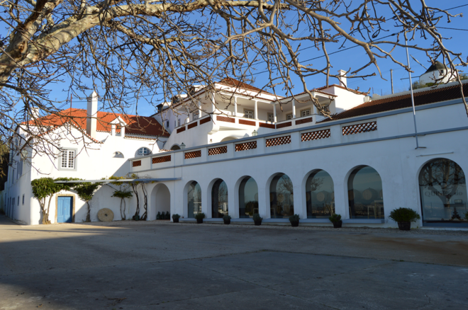 Dormir numa quinta de vinhos | A Quinta do Piloto, em Palmela, acaba de transformar em alojamento local a casa que pertence há quatro gerações à família Cardoso. 