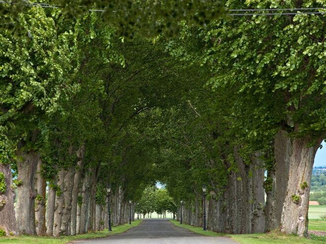 Chateau de la Caniere, França