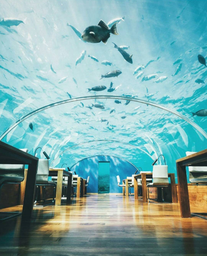 Ithaa, Ilha Conrad Rangali 