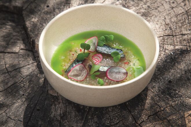 Gaspacho Verde e Cavala Marinada, chef Kiko Martins
