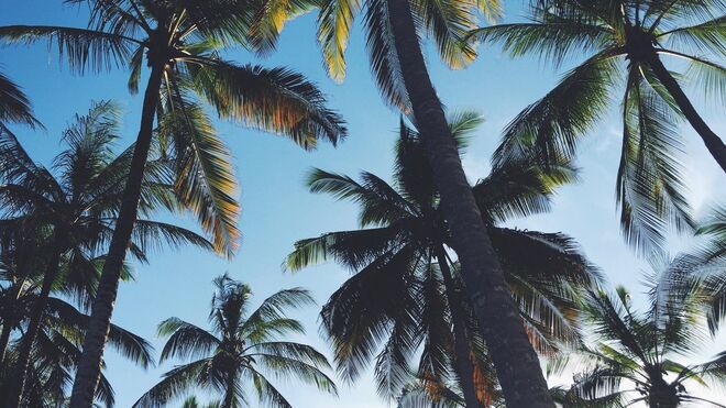 Imagem do lookbook da C.R.T.D