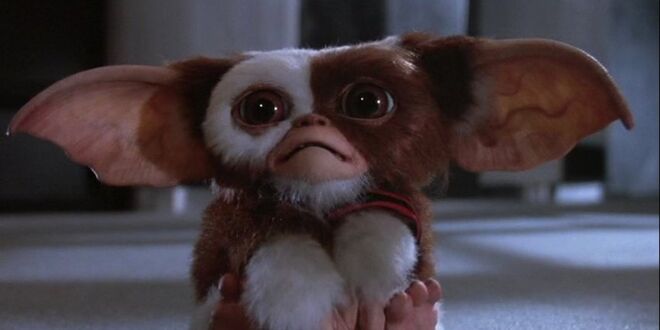 Gremlins (1984)