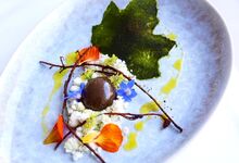 As novas cartas de inverno para provar já