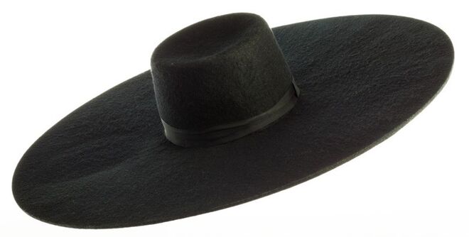 O chapéu em leilão, foto Heritage Auctions 