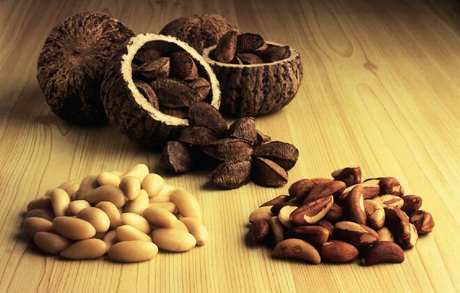 ALIMENTOS RICOS EM SELÉNIO – PELA POSITIVA | A falta de selénio no organismo pode levar à irritabilidade, à depressão e a problemas na tiroide. Escolher alimentos ricos em selénio pode ajudar a regular a tiroide e a melhorar a disposição, mas convém não exagerar: o corpo não precisa deste mineral em elevadas quantidades. Entre os alimentos recomendados estão a castanha-do-brasil e os cogumelos champignon.