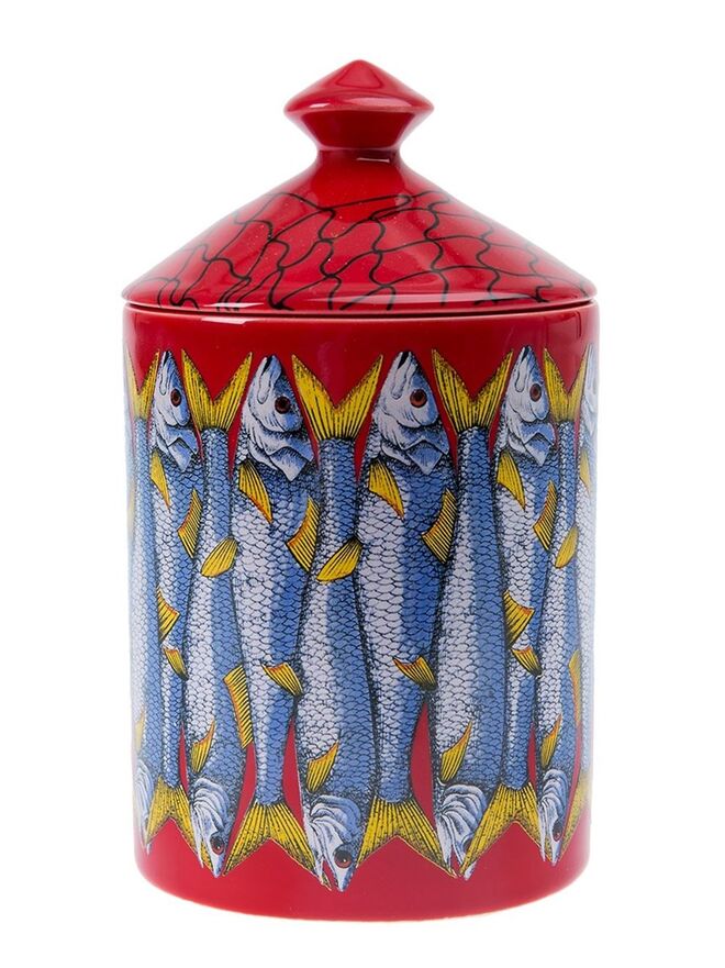 €155, Fornasetti