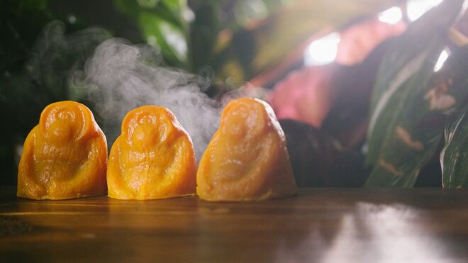 Lush - A campanha #SOSsumatra tem como objetivo consciencializar para o quão perigosamente perto da extinção estão os orangotangos. Todo o valor procedente da venda deste sabonete (menos IVA) no dia 24 de novembro vai para a Sumatran Orangutan Society, para comprar 50 hectares de plantação de palma e restaurar a floresta nativa.