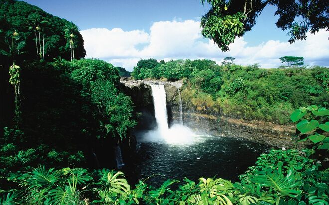 HAVAI | Praias paradisíacas, vulcões adormecidos e uma gastronomia rica fazem parte da experiência que é uma lua-de-mel no Havai. Já nos anos 30, os atores Gene Raymond e Jeanette MacDonald escolheram o Havai como destino para a sua lua-de-mel.