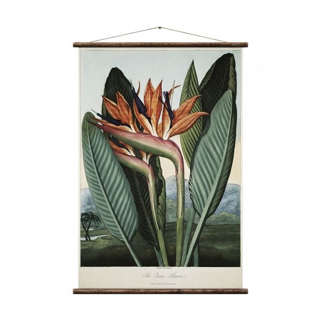 Quadro, €223, Erstwhile