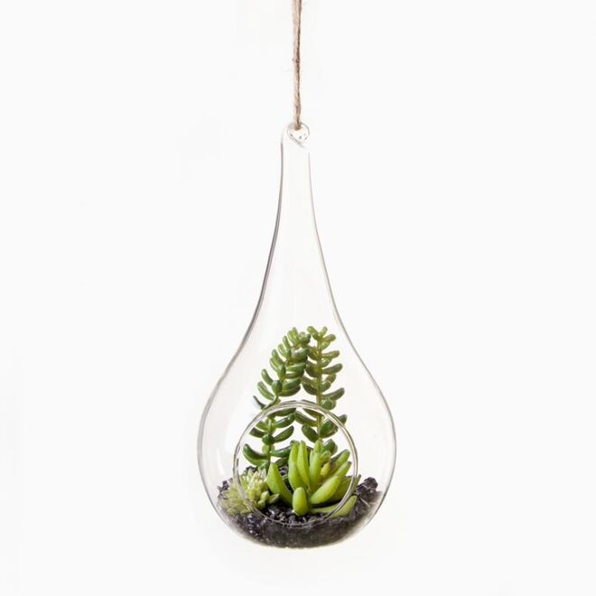 Terrário, €12,49, Loja Viva