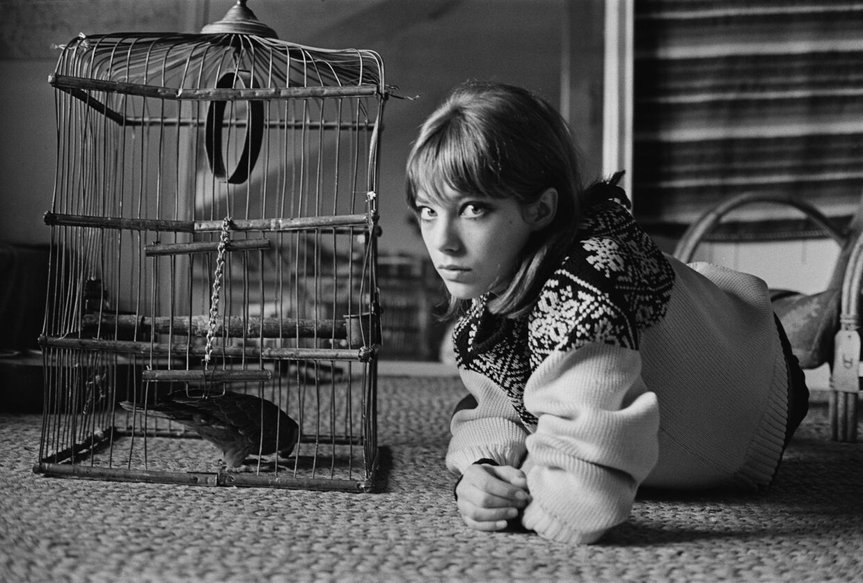 Jane Birkin, 1964