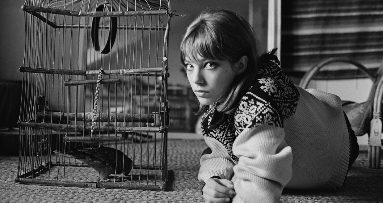 Jane Birkin, 1964