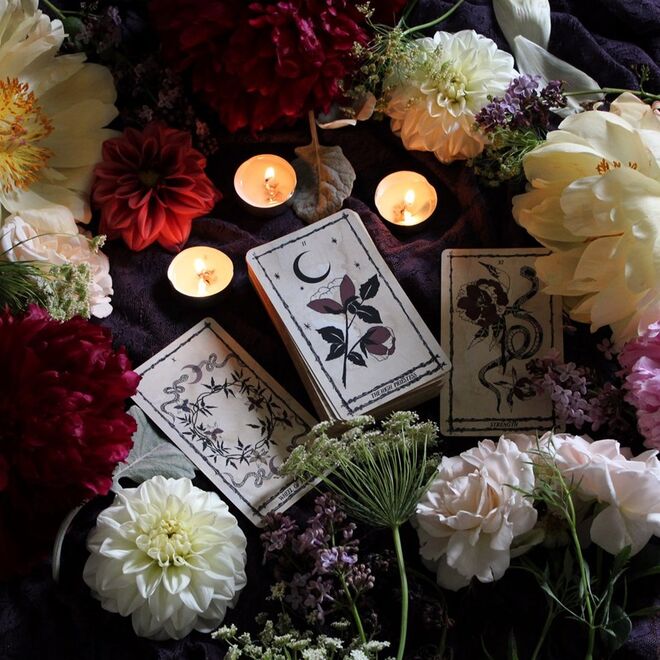 €40, leilaolive.com 