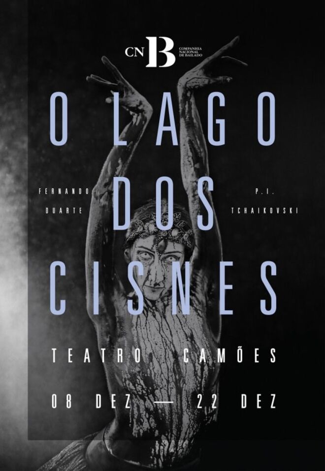 O Lago dos Cisnes no Teatro Camões a partir de €5