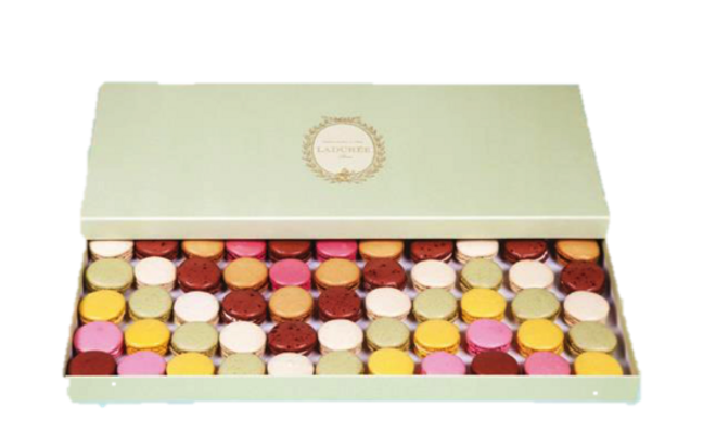 Coleção Receção, €122