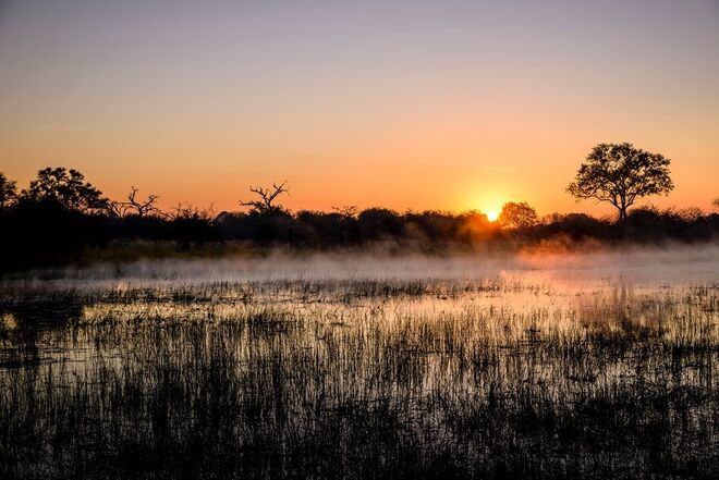 Sanctuary Chief’s Camp | Okavango Delta, Botswana 