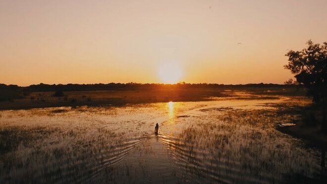 Sanctuary Chief’s Camp | Okavango Delta, Botswana 