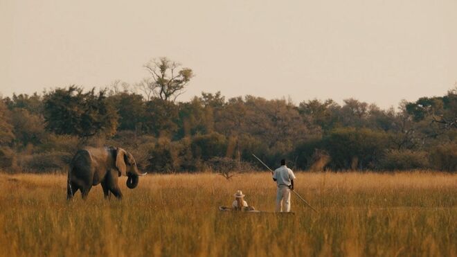 Sanctuary Chief’s Camp | Okavango Delta, Botswana 