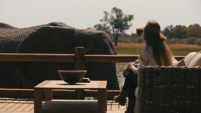 Sanctuary Chief’s Camp | Okavango Delta, Botswana 