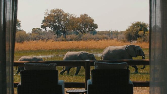 Sanctuary Chief’s Camp | Okavango Delta, Botswana 