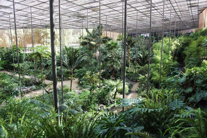 ESTUFA FRIA | Para quem quiser celebrar a passagem de ano num dos espaços naturais mais bonitos de Lisboa, a Estufa Fria organizou uma festa exclusiva com várias opções. Até 26 de dezembro, o valor por pessoa é de €40 e inclui 3 bebidas brancas e uma cerveja ou sidra. Para quem quiser reservar mesas, a de 10 pessoas custa €1.150 (com 5 garrafas premium, um frappé com 5 cervejas, refrigerantes e águas), a de 8 pessoas custa €920 (com 4 garrafas premium, um frappé com 8 cervejas, refrigerantes e águas) e a de 6 pessoas tem o valor de €690 (com 3 garrafas premium, um frappé com 6 cervejas, refrigerantes e águas).