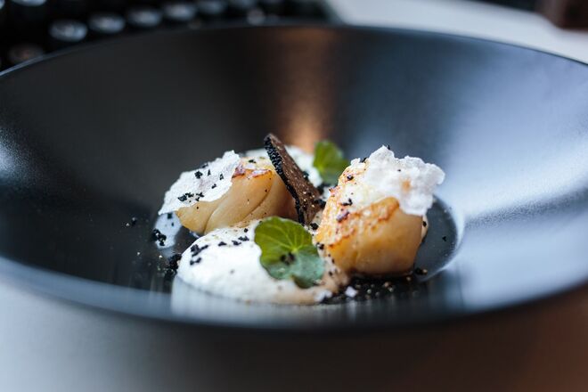 THE DECADENTE | No piso térreo do The Insólito, o The Decadente apresenta um menu distinto com cinco pratos: sopa de castanhas, vieiras coradas e crocante de choco são as primeiras propostas. Seguem-se o bacalhau fresco em torricado de pão alentejano e canja de bacalhau com poejo e ovo escalfado e um prato de vazia maturada a baixa temperatura. Há ainda uma opção pensada para os vegetarianos: o risotto de açafrão com manjericão e tomate seco. Para terminar, há pudim abade de priscos com gelado de citrinos, frutos secos, geleia de cereja e crumble de cacau. O preço deste jantar é de €69 por pessoa, sem bebidas incluídas.