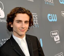  Timothée Chalamet vai doar o que recebeu pelo filme de Woody Allen ao movimento Time’s Up
