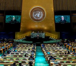 Denunciados casos de abusos sexuais na ONU