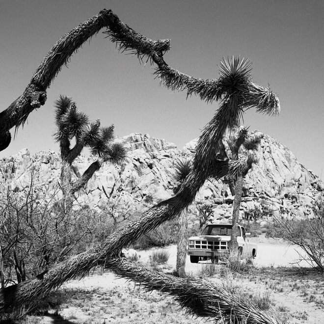 Entrevista The Legendary Tigerman: " O deserto leva-nos para dentro de nós próprios"