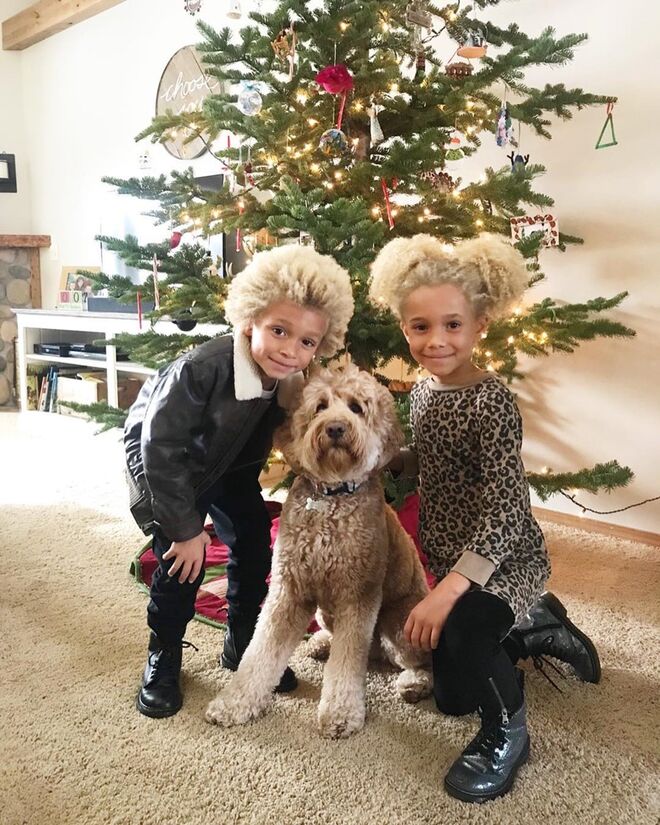 Stella and Blaise: 61.900 seguidores 