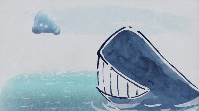 1º ciclo: A Nuvem e a Baleia, de Alyona Tomilova