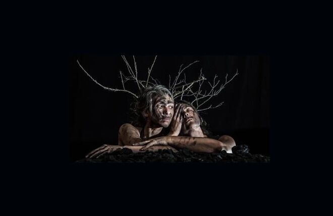 Ir ao teatro ver a Canas 44 no Teatro Nacional D.Maria II