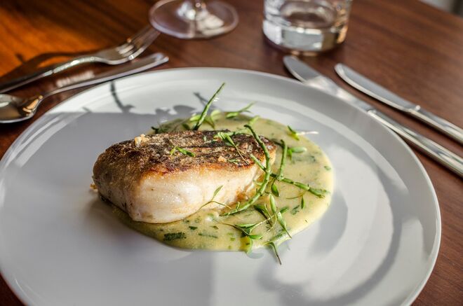 Petiscar com amigos no TOPO Belém