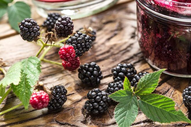 Amora | A amora tem 88,2 ml de água por cada 100 gramas. 