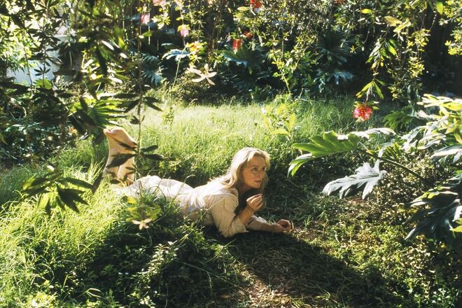 A atriz interpreta Susan Orlean, no filme Inadaptado, de 2002, realizado por Spike Jonze. 