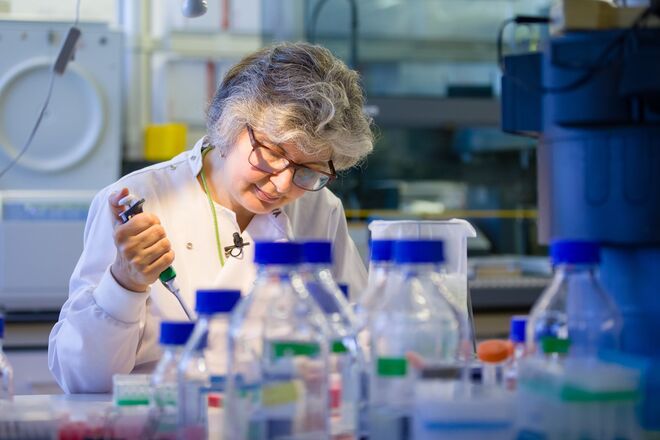 Laboratórios de investigação Fundo iMM