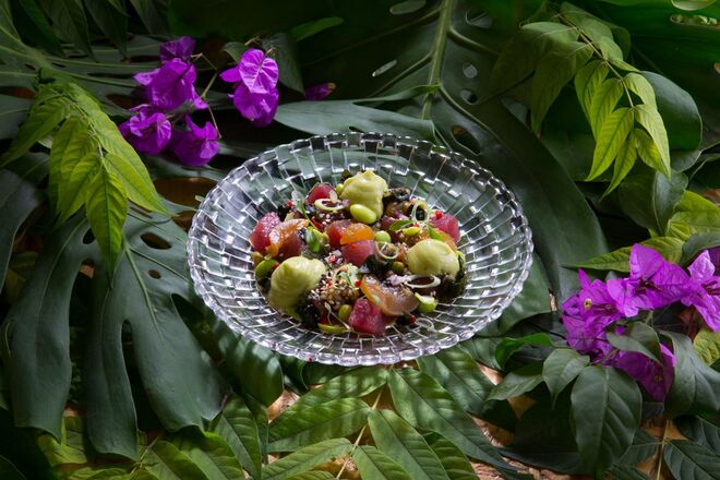 Poke Puro (com atum, algas, sésamo e abacate) d'O Poké.