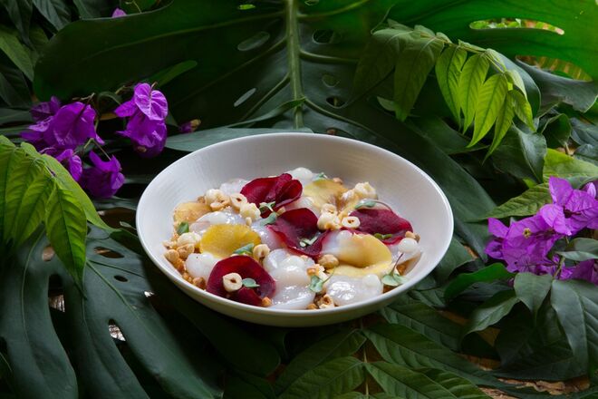 Poke de Vieiras com Beterraba (sashimi de vieiras, beterraba em texturas, tapioca e avelãs) d'O Poké.