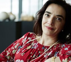 Elvira Fortunato recebe bolsa do Conselho Europeu de Investigação