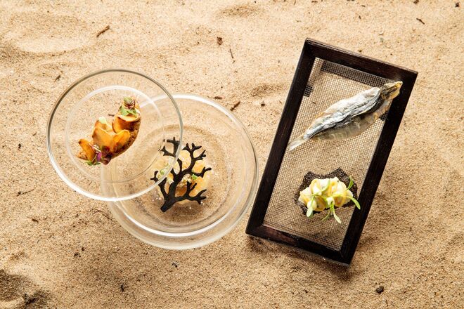 Amuse bouche: trio que começa com uma brandada de carapau seco, puré de grão-de-bico e chip de arroz, com uma apresentação inspirada nas redes dos pescadores. A acompanhar, mexilhões com puré de escabeche e pastéis de massa tenra com recheio de enguia, para comer enquanto se bebe um shot de cerveja artesanal da Serra da Estrela. 