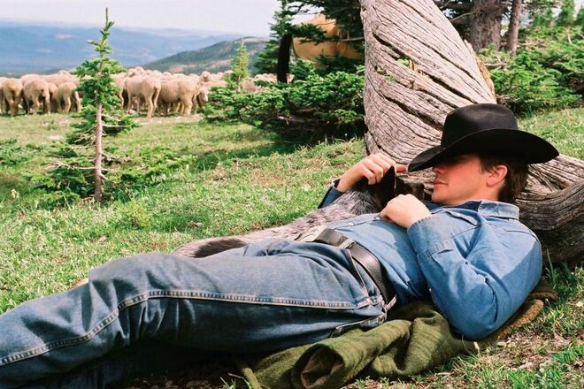 Brokeback Mountain, 2005