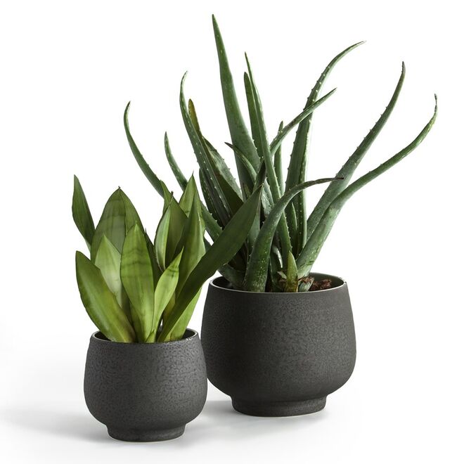 Vasos em faiança, a partir de €24,99, AM.PM, em laredoute.pt